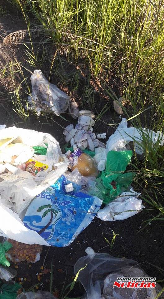 Descarte de lixo na entrada de uma lavoura em 

Três de Maio - foto 2