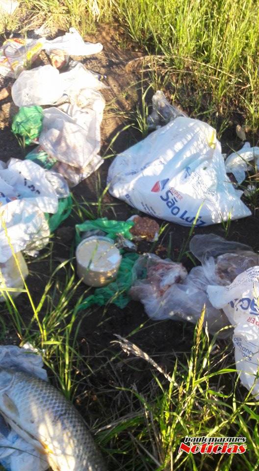 Descarte de lixo na entrada de uma lavoura em 

Três de Maio - foto 5