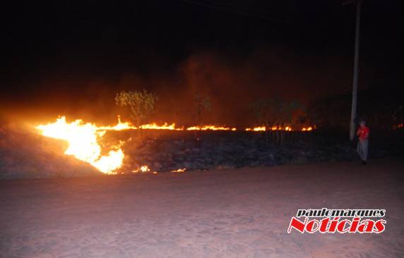 Bombeiros combatem incêndio em vegetação seca na Área Industrial em Três de Maio; VEJA VÍDEO - foto 3