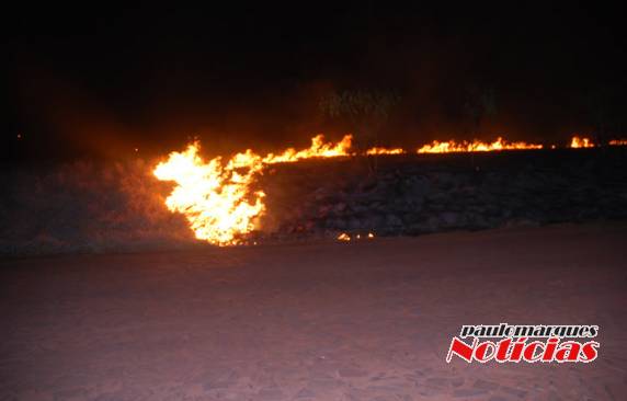 Bombeiros combatem incêndio em vegetação seca na Área Industrial em Três de Maio; VEJA VÍDEO - foto 4