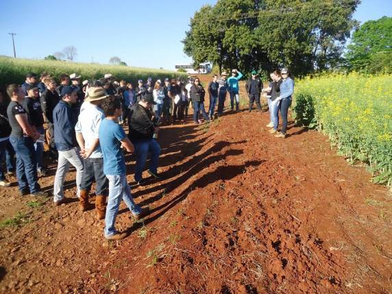 Acadêmicos de Agronomia da SETREM desenvolvem
experimentos em toda a região - foto 2