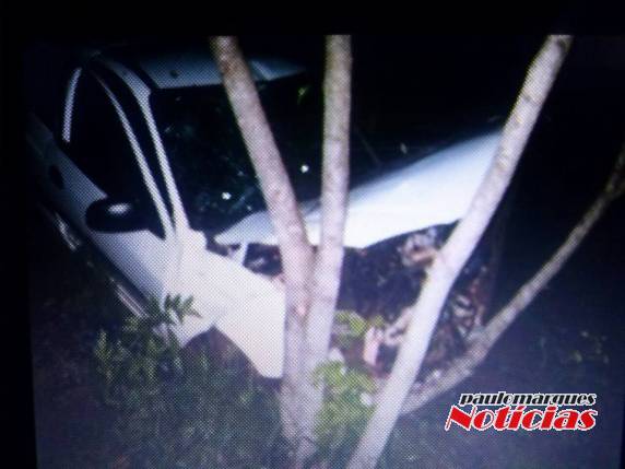 Ela viajava sozinha em um automóvel que colidiu em árvores
