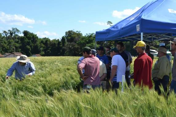 Evento realizado em parceria com Emater, 

Cotrimaio e Sicredi será realizado no dia 30 de setembro