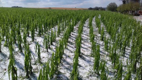 Granizo atinge a região Fronteira Noroeste - foto 3