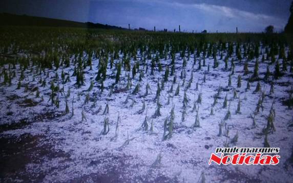 Queda de granizo destelhou cerca de 120 residências na cidade gaúcha