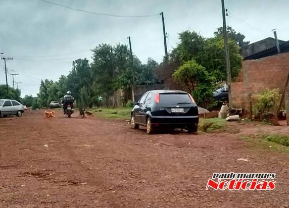 Cachorros soltos na rua atacam as pessoas