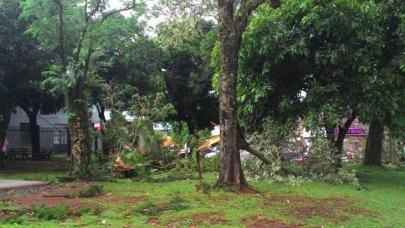 Rajada de vento
causa leves estragos e assusta Horizontina - foto 3