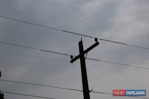 Trinta
e oito vacas morrem eletrocutadas no RS - foto 5