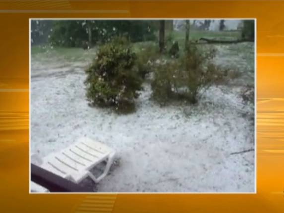 m Bom Jardim da Serra, granizo provocou danos na 

fruticultura