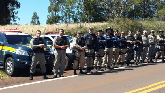 VÍDEO: PRF apreende cerca de meia tonelada de maconha em Palmeira das Missões - foto 3