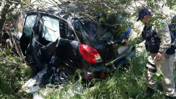 VÍDEO: PRF apreende cerca de meia tonelada de maconha em Palmeira das Missões - foto 6