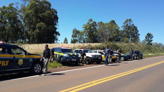 VÍDEO: PRF apreende cerca de meia tonelada de maconha em Palmeira das Missões - foto 5