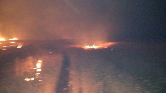 VÍDEO: Corpo de Bombeiros combate incêndio em
lavoura de trigo em Independência - foto 3
