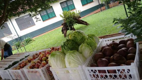 SETREM promove edição especial da Feira do Campus nesta sexta-feira - foto 4