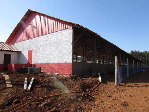 Investimentos na suinocultura em São José do Inhacorá - foto 5
