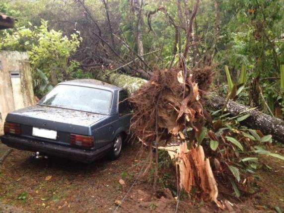Defesa Civil registrou deslizamentos de terra, queda 

de árvores e outros problemas decorrentes da forte chuva