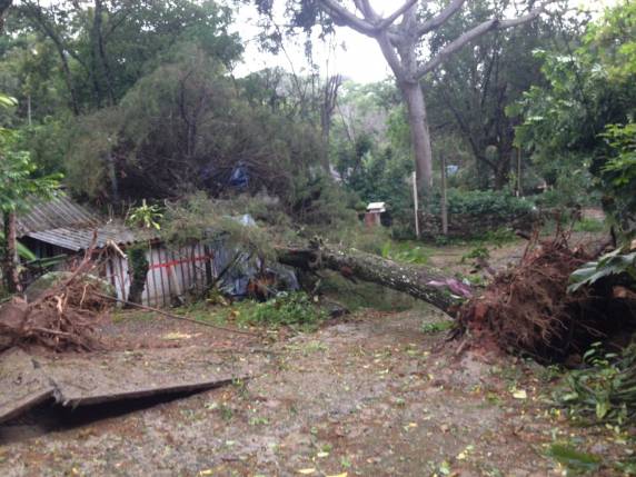 Fortes chuvas e vento causam destruição na Grande Florianópolis - foto 2