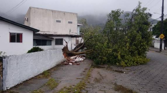 Fortes chuvas e vento causam destruição na Grande Florianópolis - foto 5