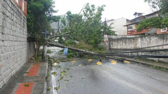 Fortes chuvas e vento causam destruição na Grande Florianópolis - foto 8
