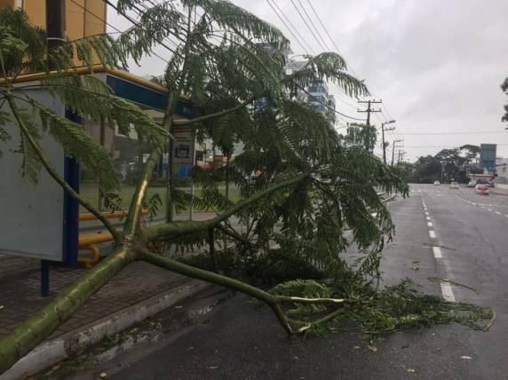 Fortes chuvas e vento causam destruição na Grande Florianópolis - foto 9