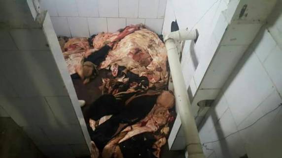 Veterinário responsável pela
inspeção em frigorífico na cidade de Taquara é preso em flagrante - foto 4