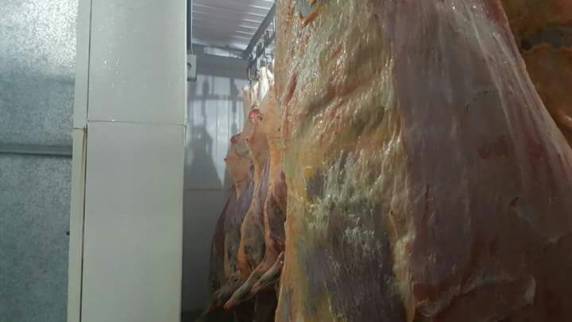 Veterinário responsável pela
inspeção em frigorífico na cidade de Taquara é preso em flagrante - foto 5