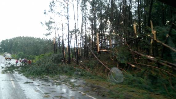 Ibirapuitã e Mormaço foram atingidos. Há relatos de danos também no interior de Soledade