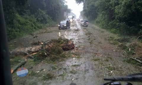 Temporal causa estragos em municípios da Região de Soledade; VEJA VÍDEO - foto 2