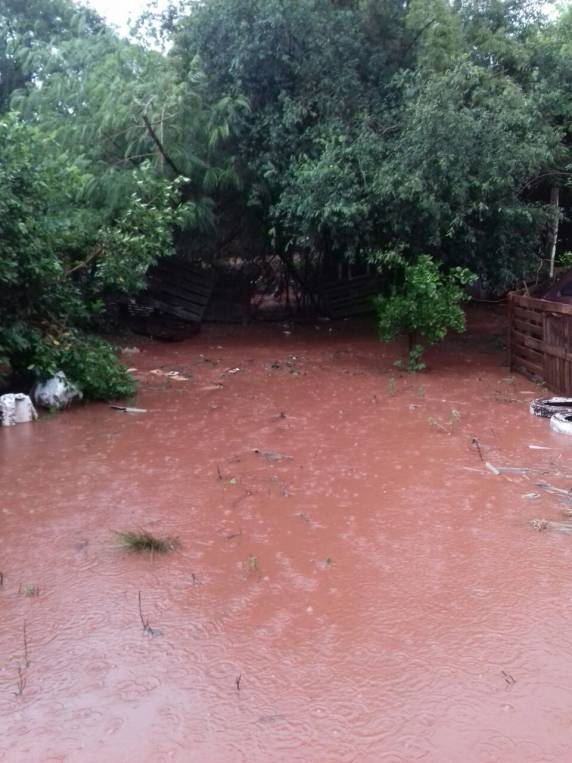 Temporal atinge Ijuí neste sábado; VEJA VÍDEO - foto 5