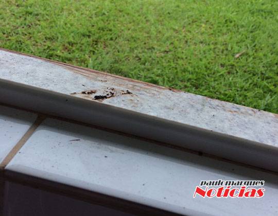 Elemento é preso pela Brigada Militar logo após furtar em residência, em Três de Maio - foto 5