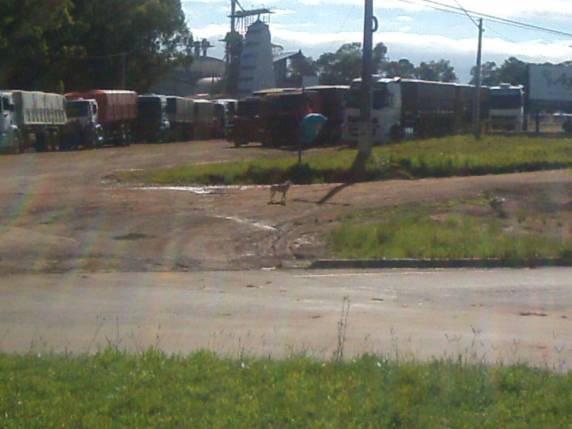 Caminhoneiros protestam contra preço do frete e do diesel - foto 2