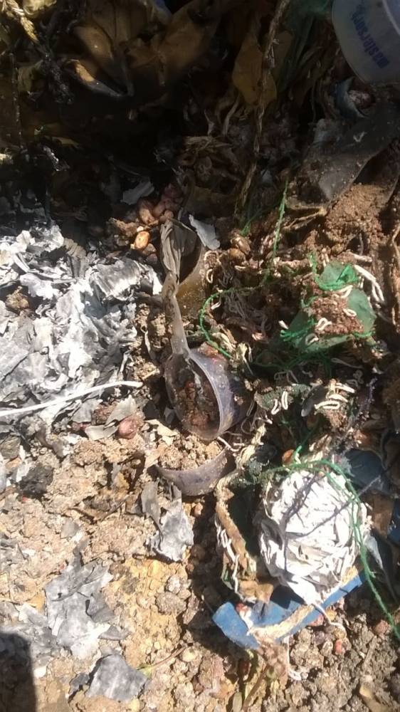 Moradores reclamam da queima de lixo de uma empresa em Boa Vista do Buricá - foto 3