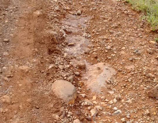 Agricultores denunciam abandono de uma estrada no distrito de Progresso - foto 6