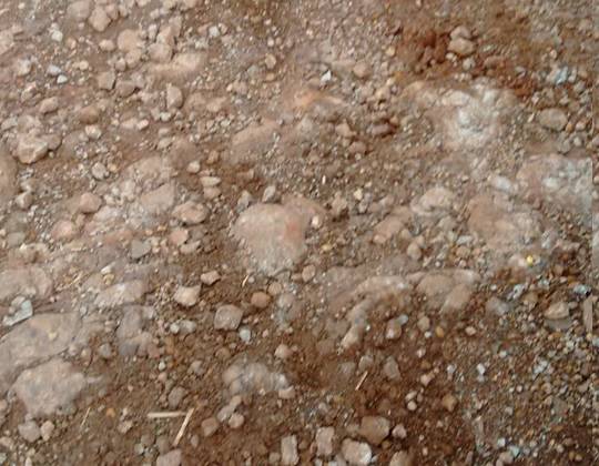 Agricultores denunciam abandono de uma estrada no distrito de Progresso - foto 3