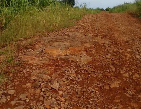 Agricultores denunciam abandono de uma estrada no distrito de Progresso - foto 5