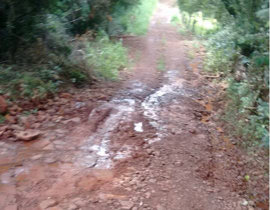 As imagens foram registradas neste 

domingo (5)