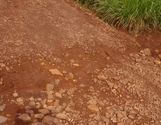 Agricultores denunciam abandono de uma estrada no distrito de Progresso - foto 2