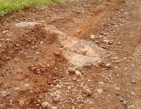 Agricultores denunciam abandono de uma estrada no distrito de Progresso - foto 4