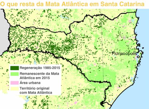 Ponte sobre o Rio Uruguai, numa região com intensa vegetação em Concórdia, líder em recuperação da Mata Atlântica