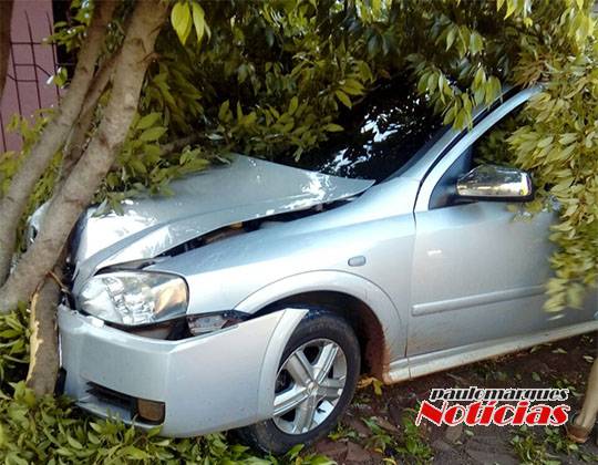 Motorista abandona veículo depois de bater em árvores na lateral de uma rua em Três de Maio - foto 3