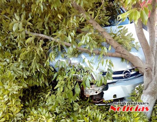 Motorista abandona veículo depois de bater em árvores na lateral de uma rua em Três de Maio - foto 5