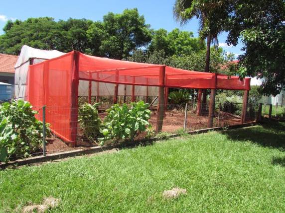 Refomas nos espaços físicos das escolas da Rede Municipal de Ensino - foto 4