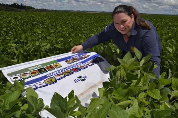 Acadêmica de Agronomia Daniela Pilecco alerta sobre a necessidade de 

quantifica-los quanto aos que têm maior adaptabilidade, para que essas informações sejam utilizadas e agregadas ao manejo integrado de pragas na região