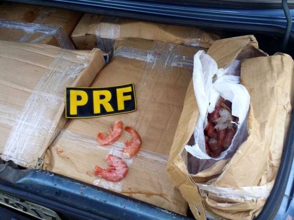 Carga estava em porta-malas de Monza com placas de Guarapuava (PR)