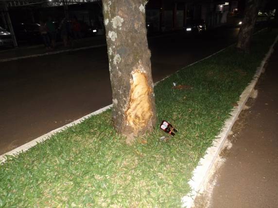 Carro
colide em árvore no centro de Três Passos - foto 2
