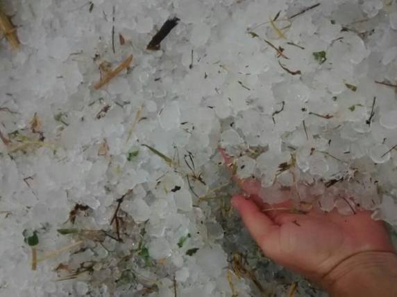 Vendaval
destelha casas, UPA e pousada na Grande Florianópolis - foto 3