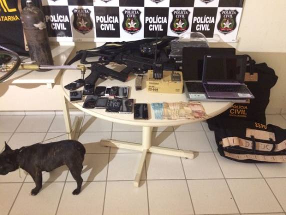 Polícia apreende até cães furtados com grupo em Joinville; 4 são presos - foto 3
