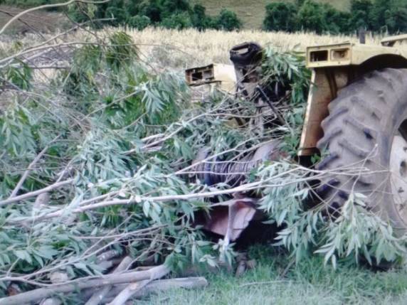 Rapaz de 26 anos trabalhava com o pai na poda e foi atingido por galhos.
Homem de 43 anos 

pulou de trator, mas árvore caiu em cima dele