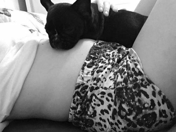 Após dar à luz, mulher recupera
cão roubado durante a gravidez em SC - foto 2