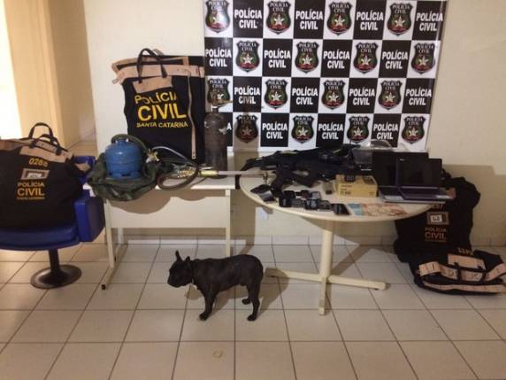 Após dar à luz, mulher recupera
cão roubado durante a gravidez em SC - foto 3
